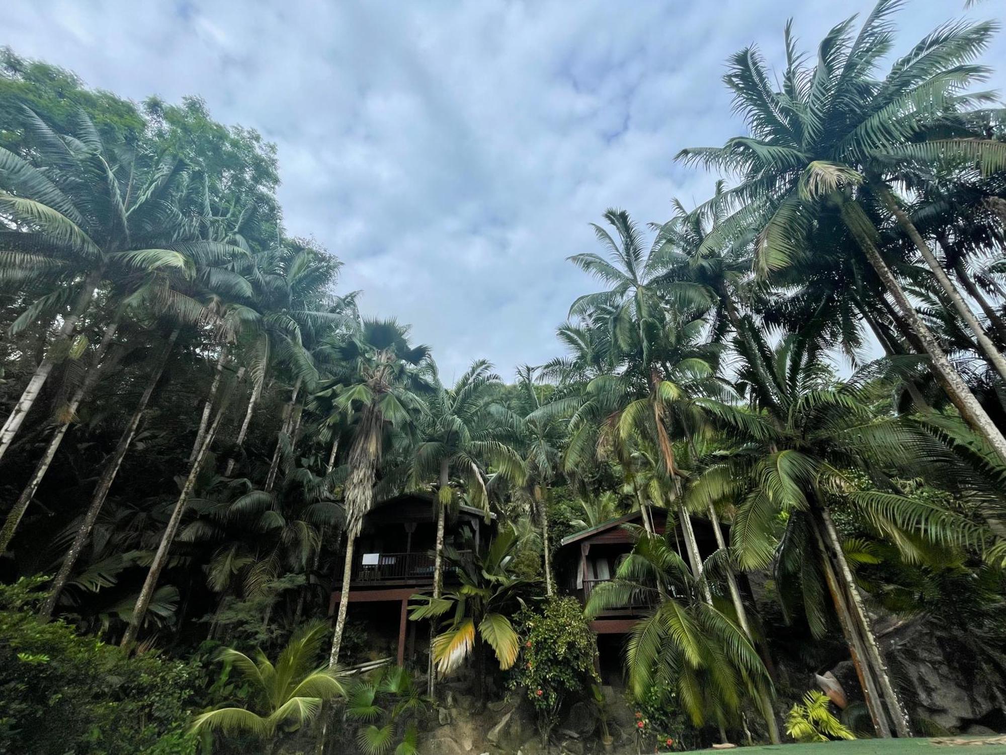 Hillside Retreat Baie Lazare (Mahe)